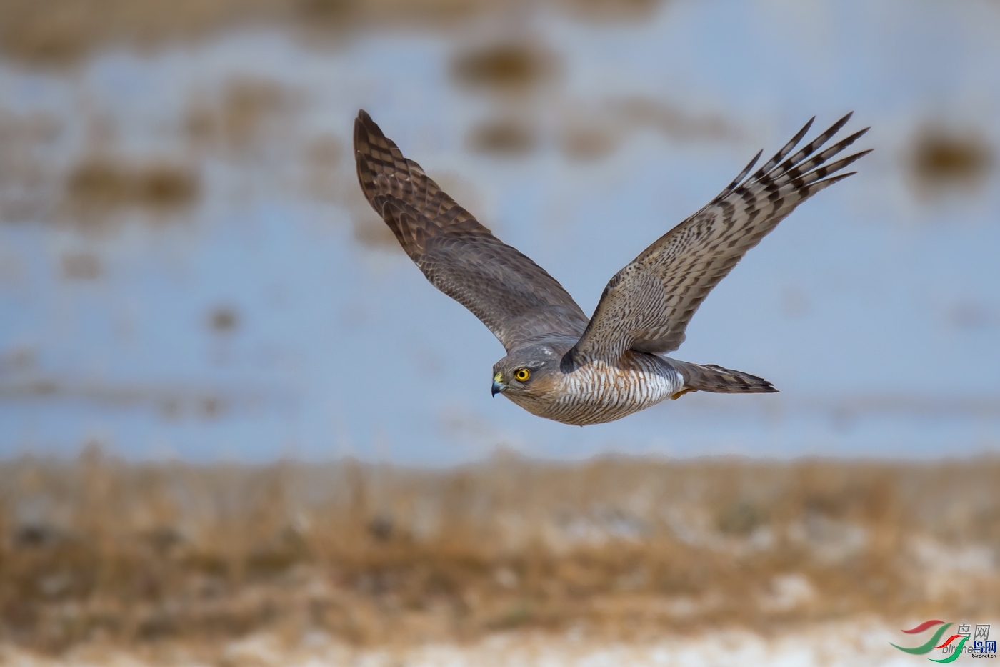 ��ˮ����  ��ʦ���������ɹ�������ͨ���пƶ�����������.jpg