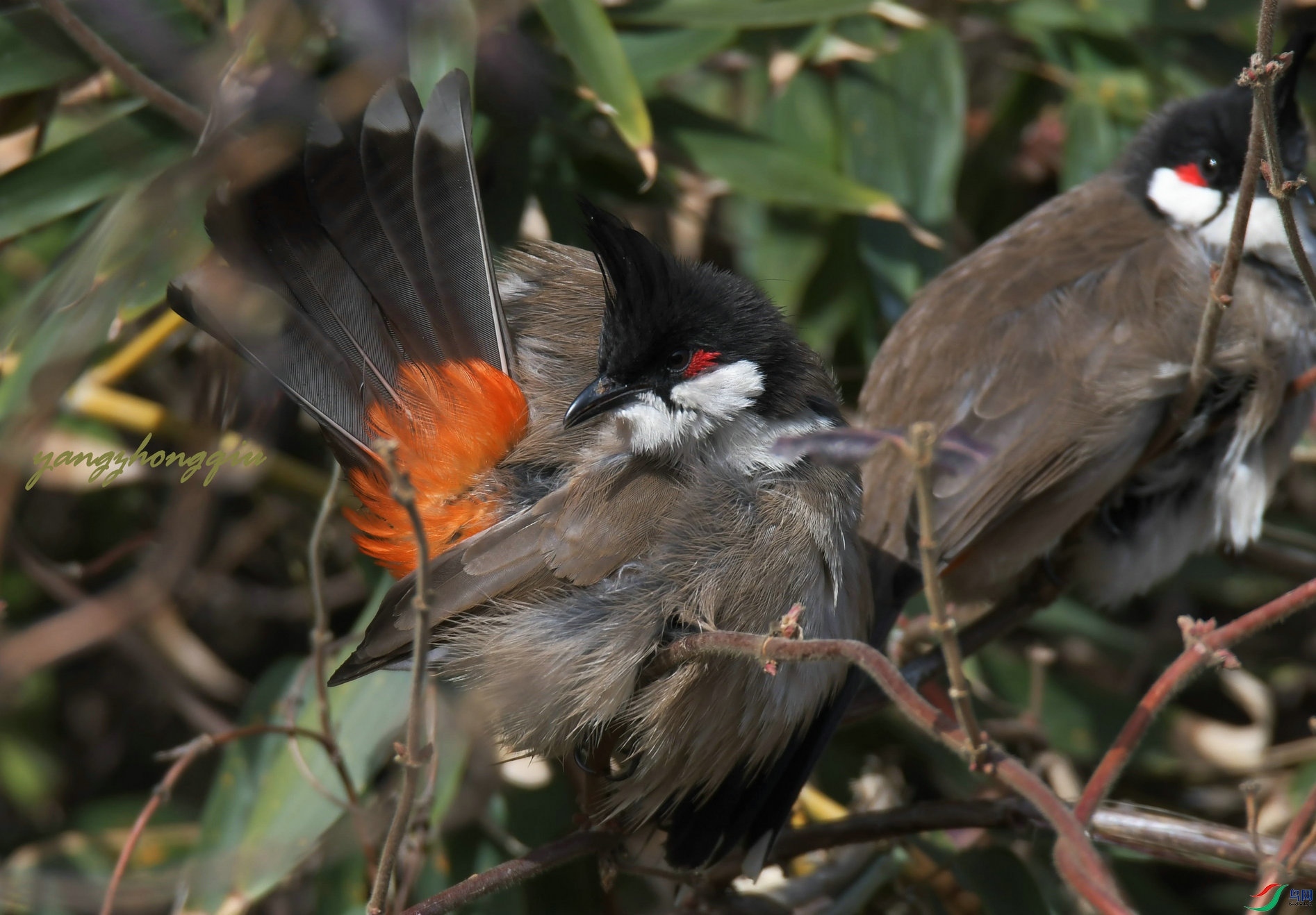 DSC_3381.jpg