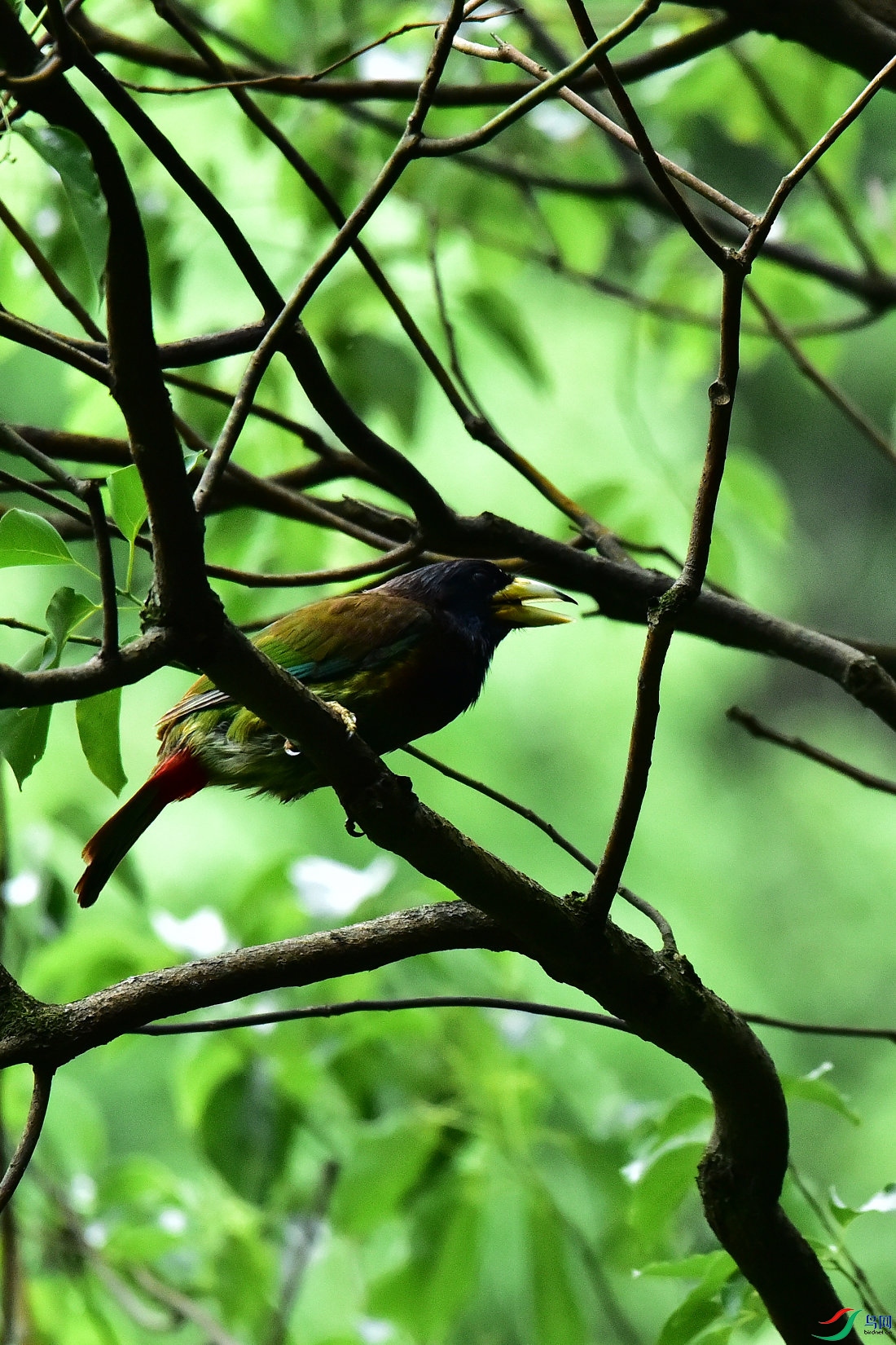 DSC_0627.JPG