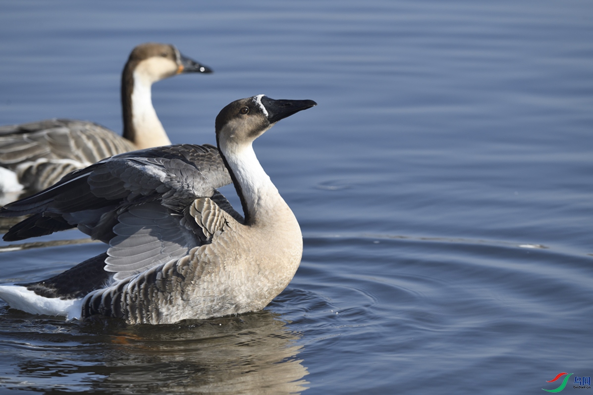 _DSC8783_00001-p-1.jpg