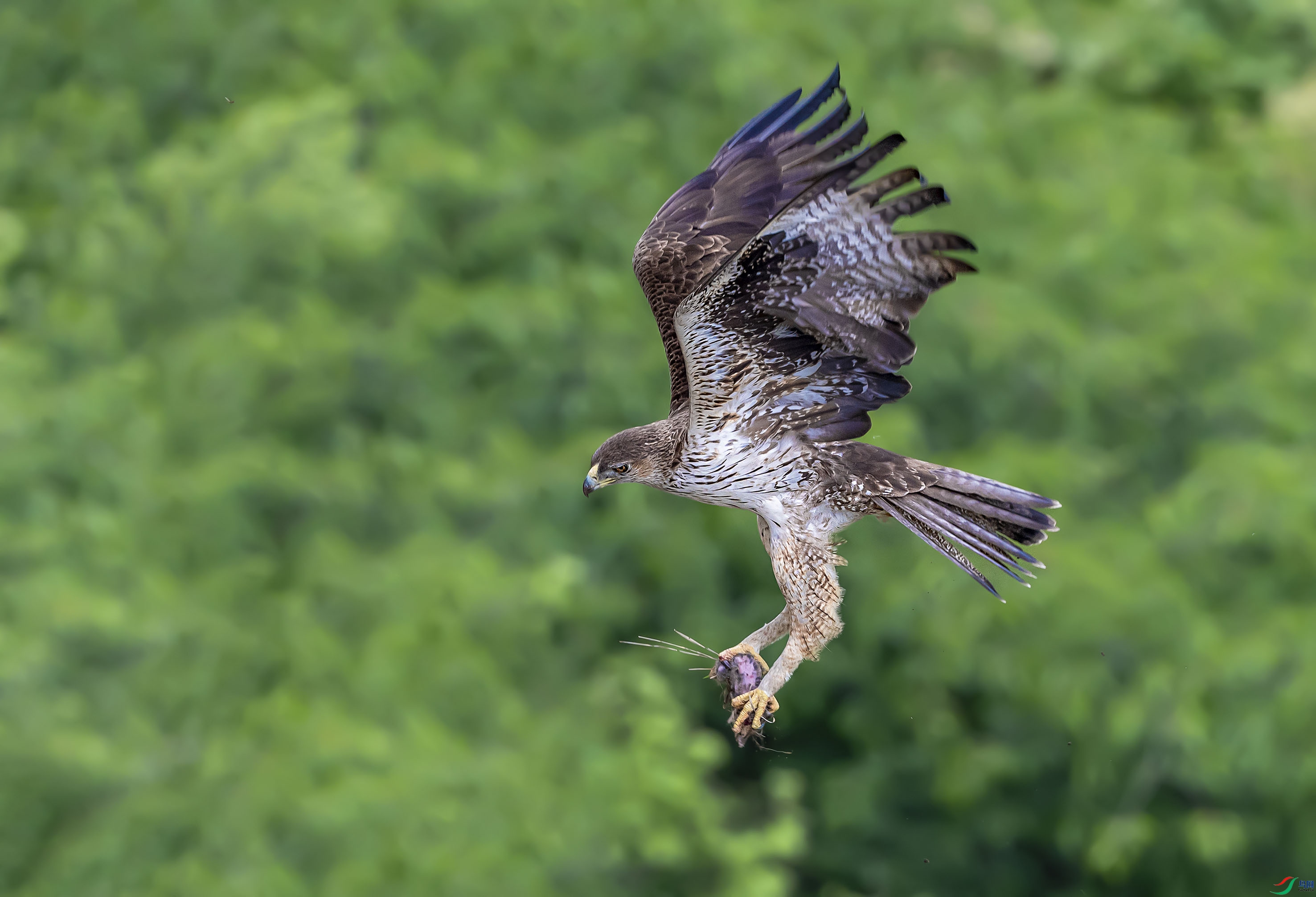 DSC_5281add.jpg