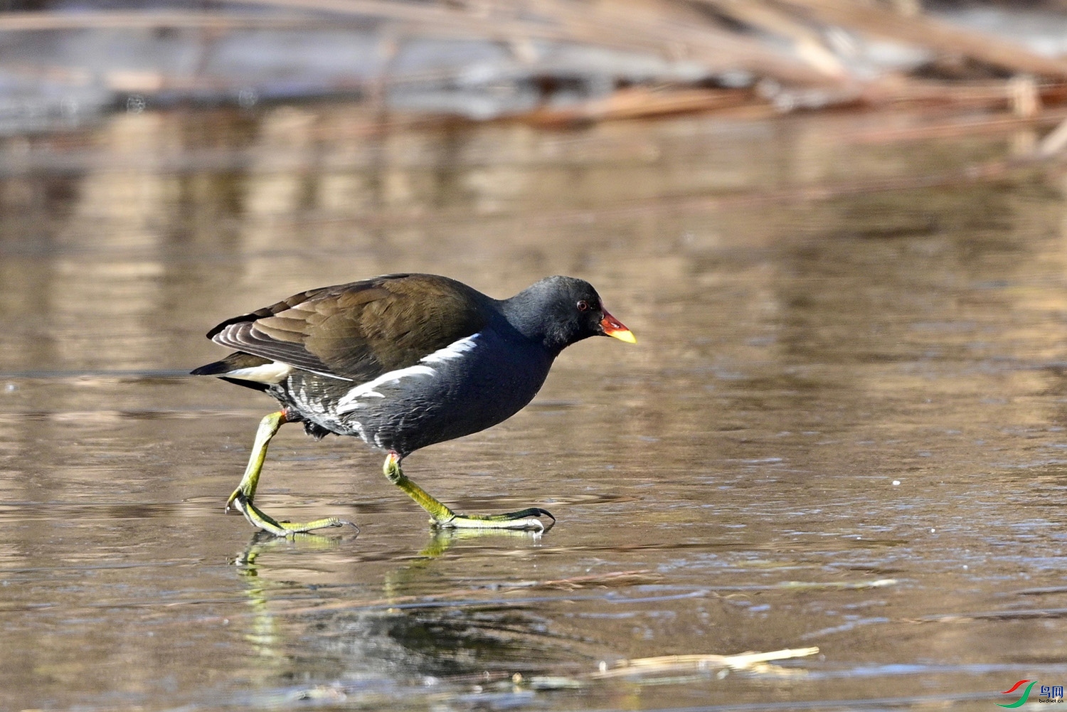 DSC_5427.jpg