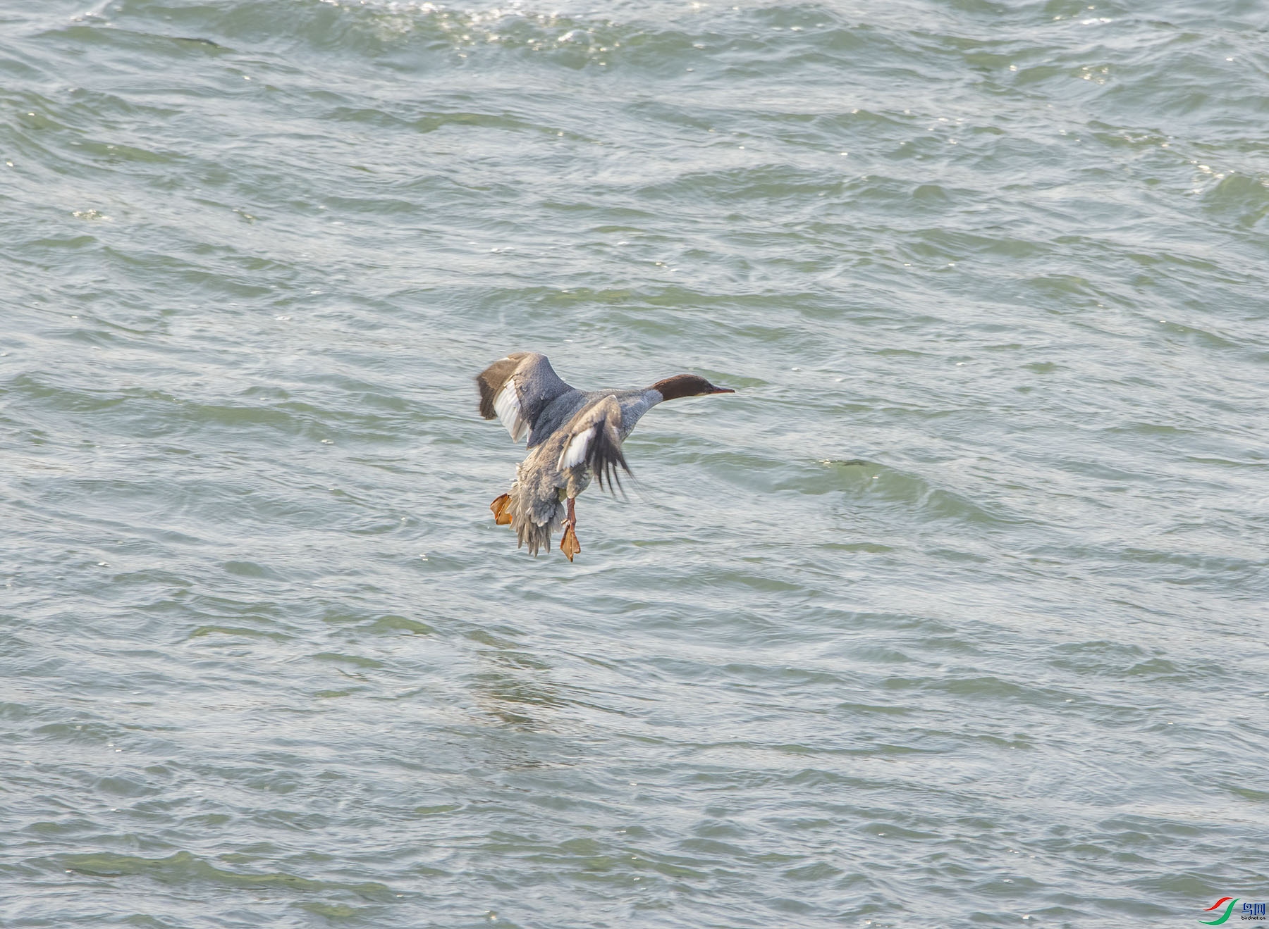DSC_2192.jpg