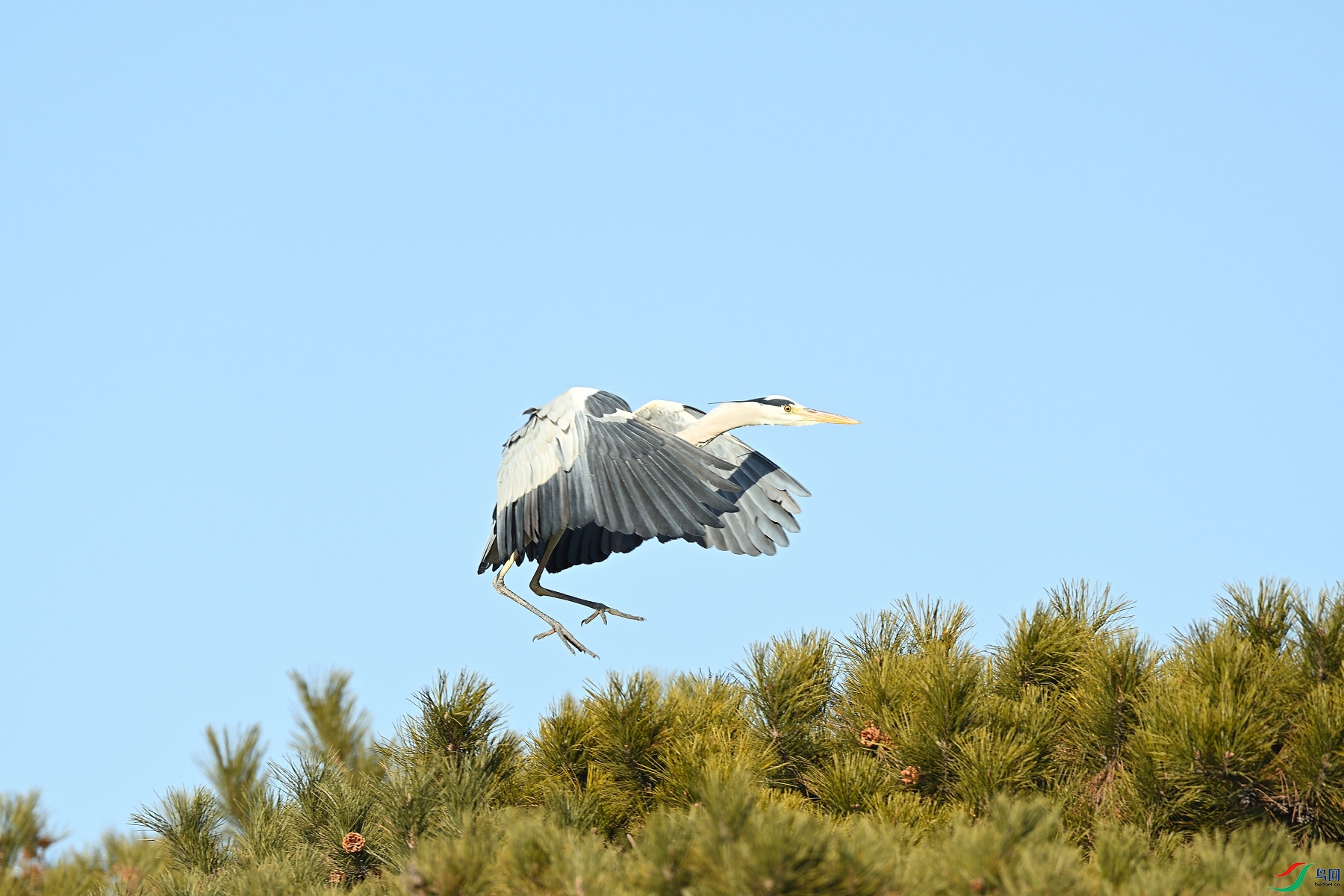 DSC_3860.JPG
