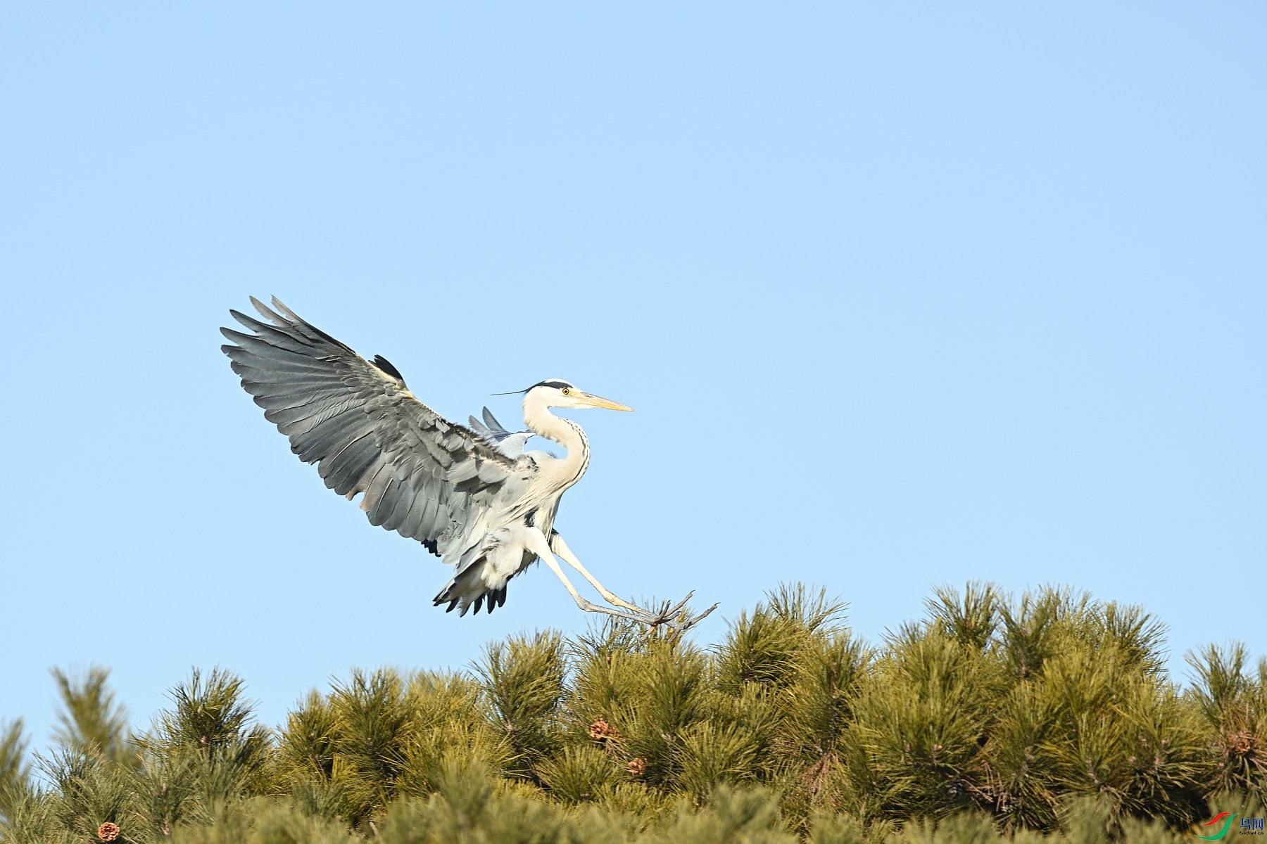 DSC_3862.JPG