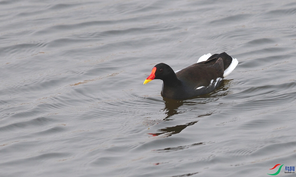 DSC_3635  1.jpg