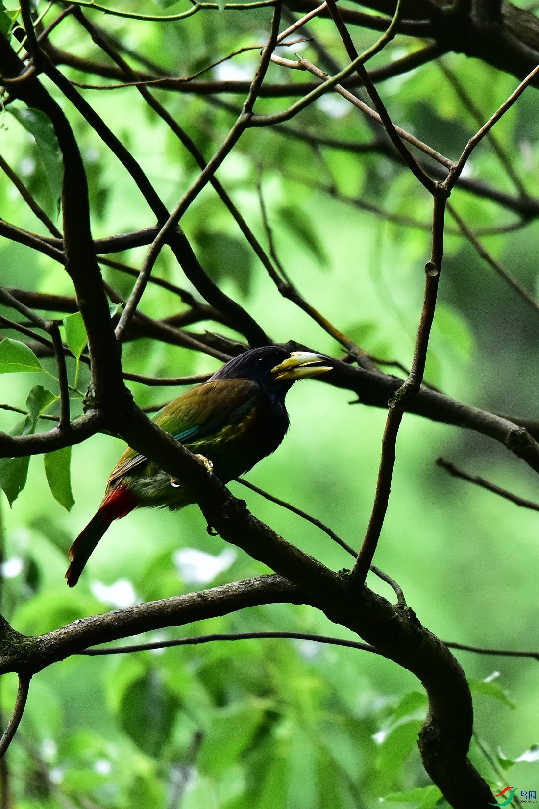 DSC_0630.JPG