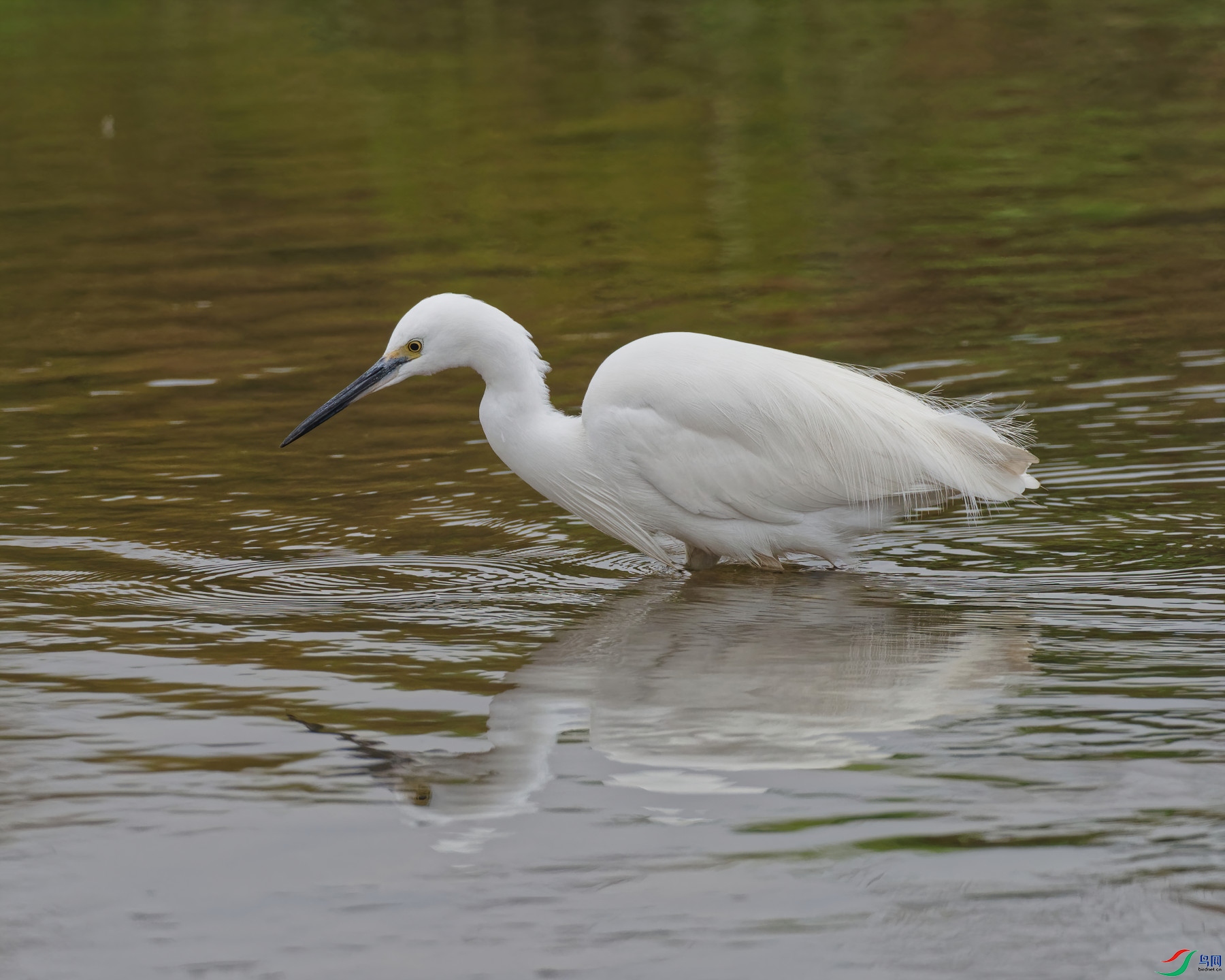PC120353_DxO-d2.jpg