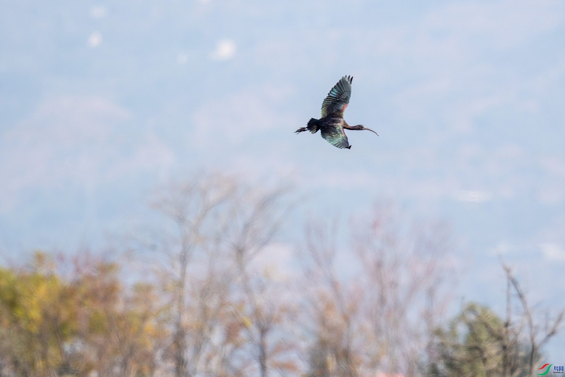 DSC_6512-2.jpg