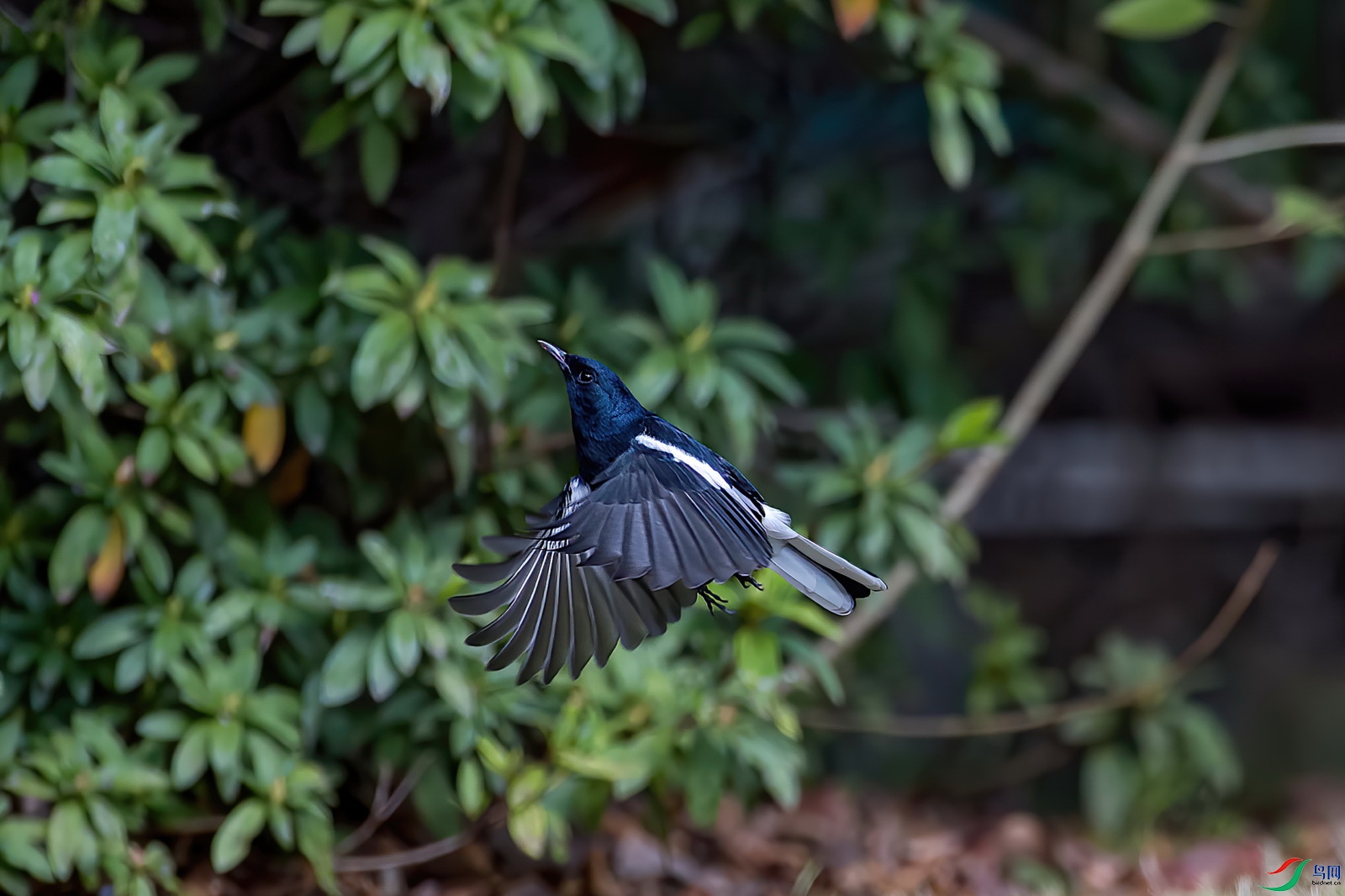 DSC_9023.jpg