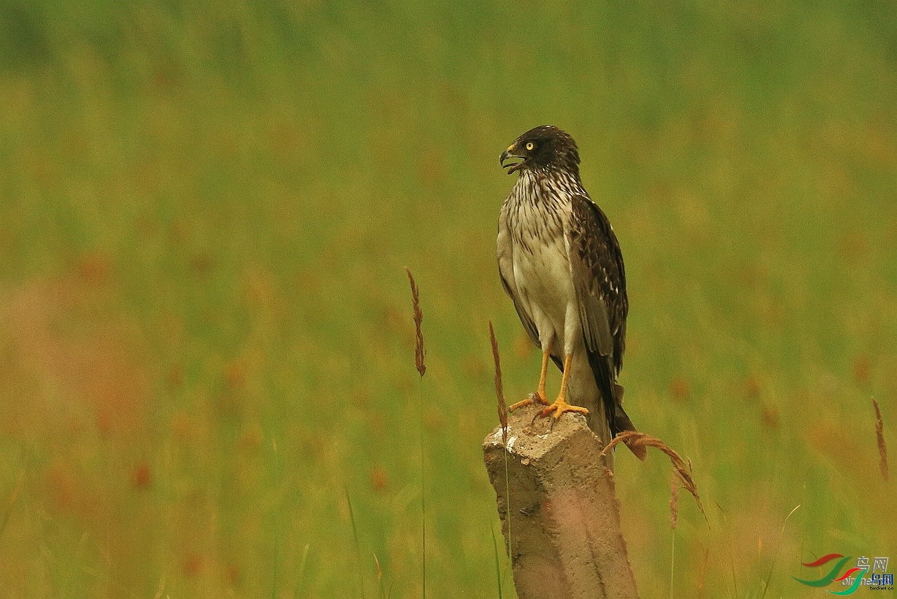 �����۽� ��ʦ�����ڱ�����������.jpg