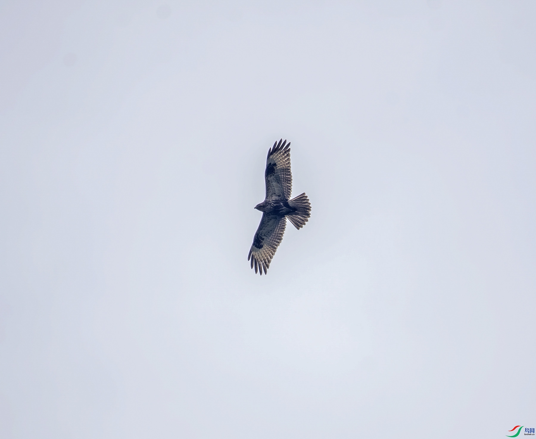 DSC_9964.jpg