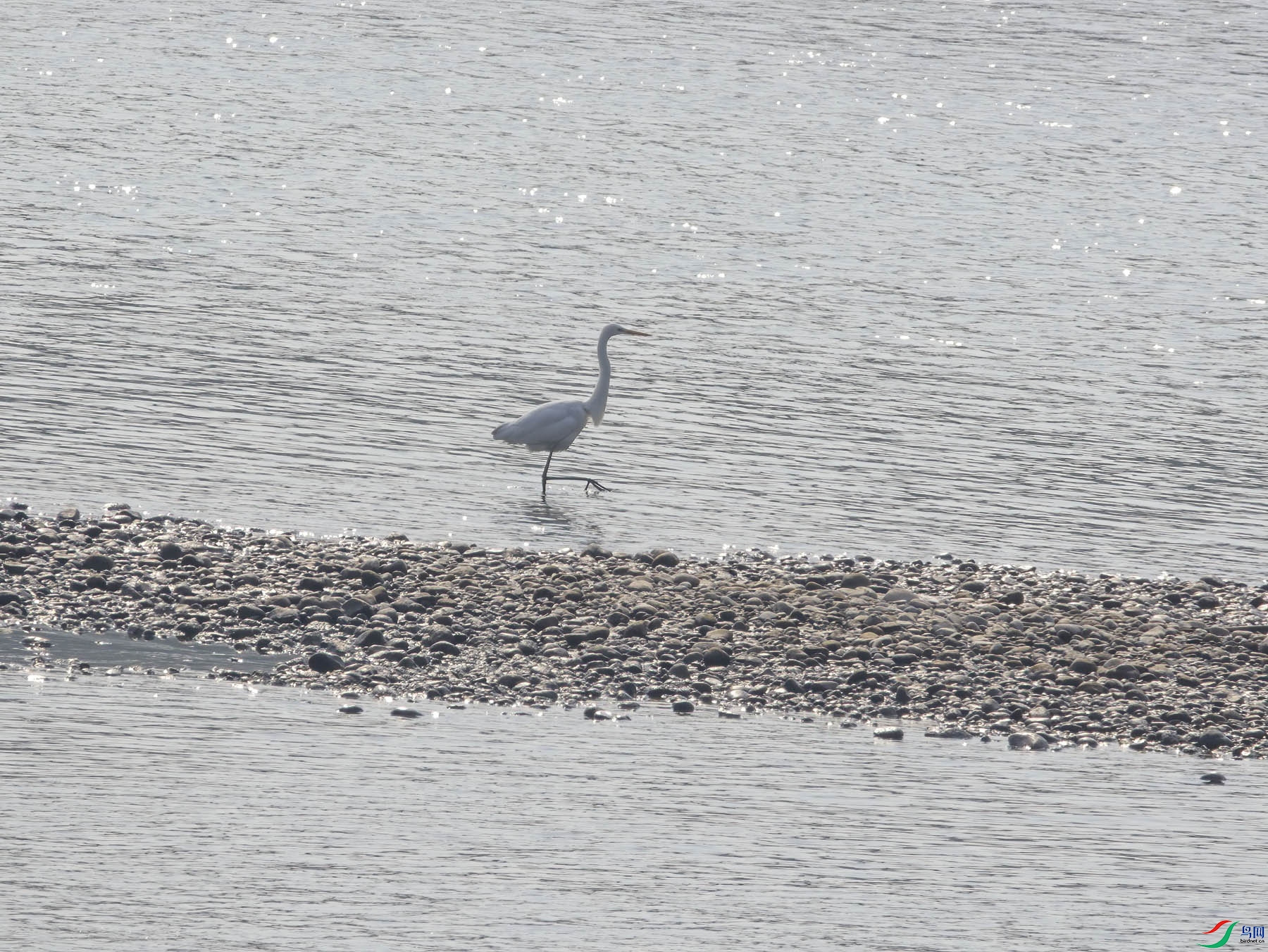 DSC_1933.jpg