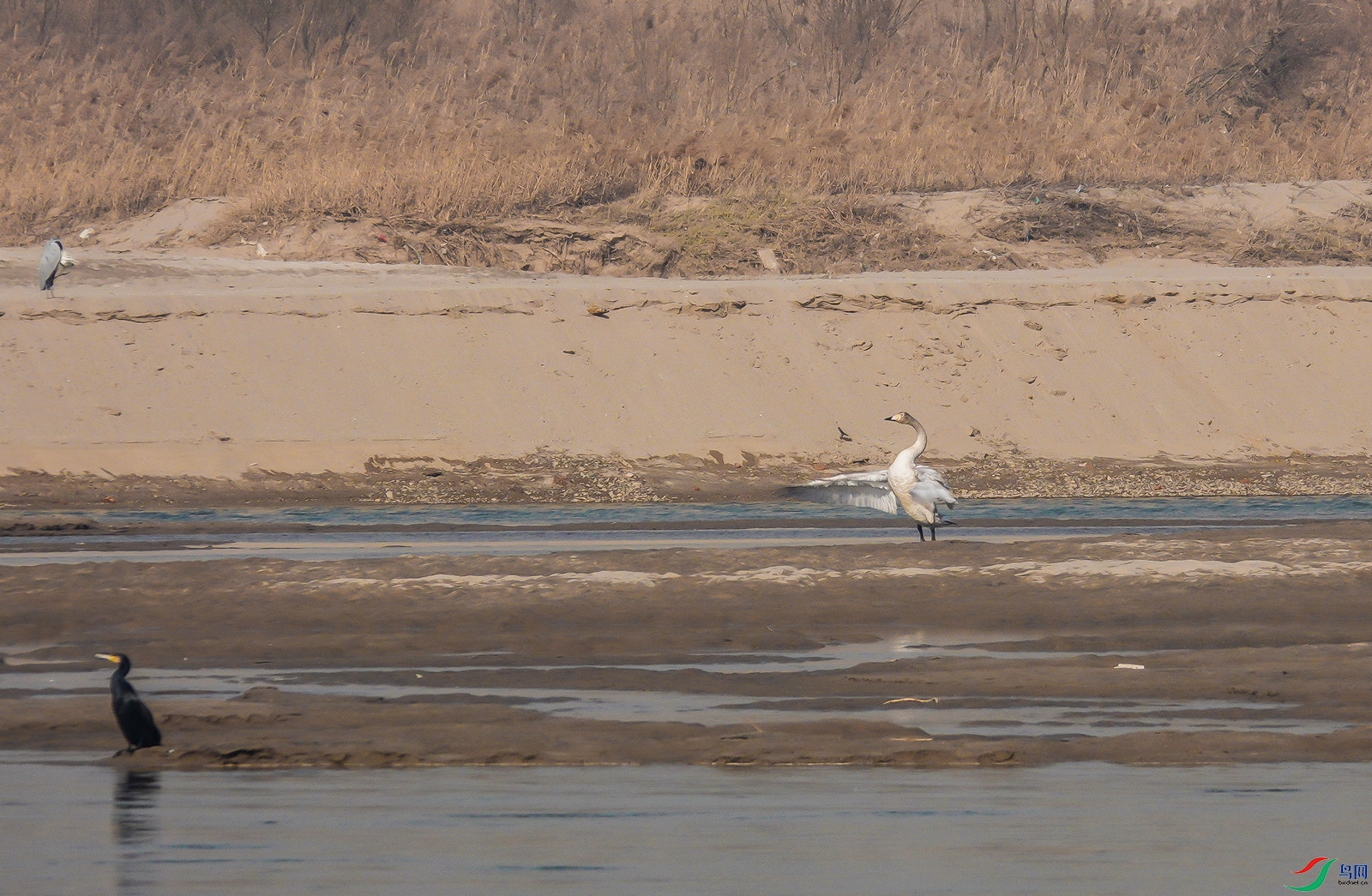 DSC09194ab.jpg