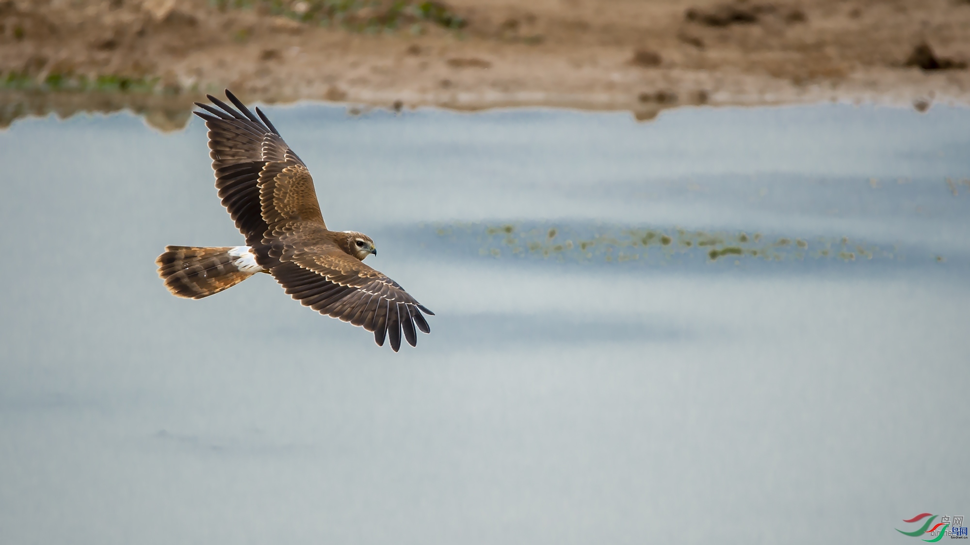 JNңң  ��ʦ������ɽ��ʡ�����������.jpg