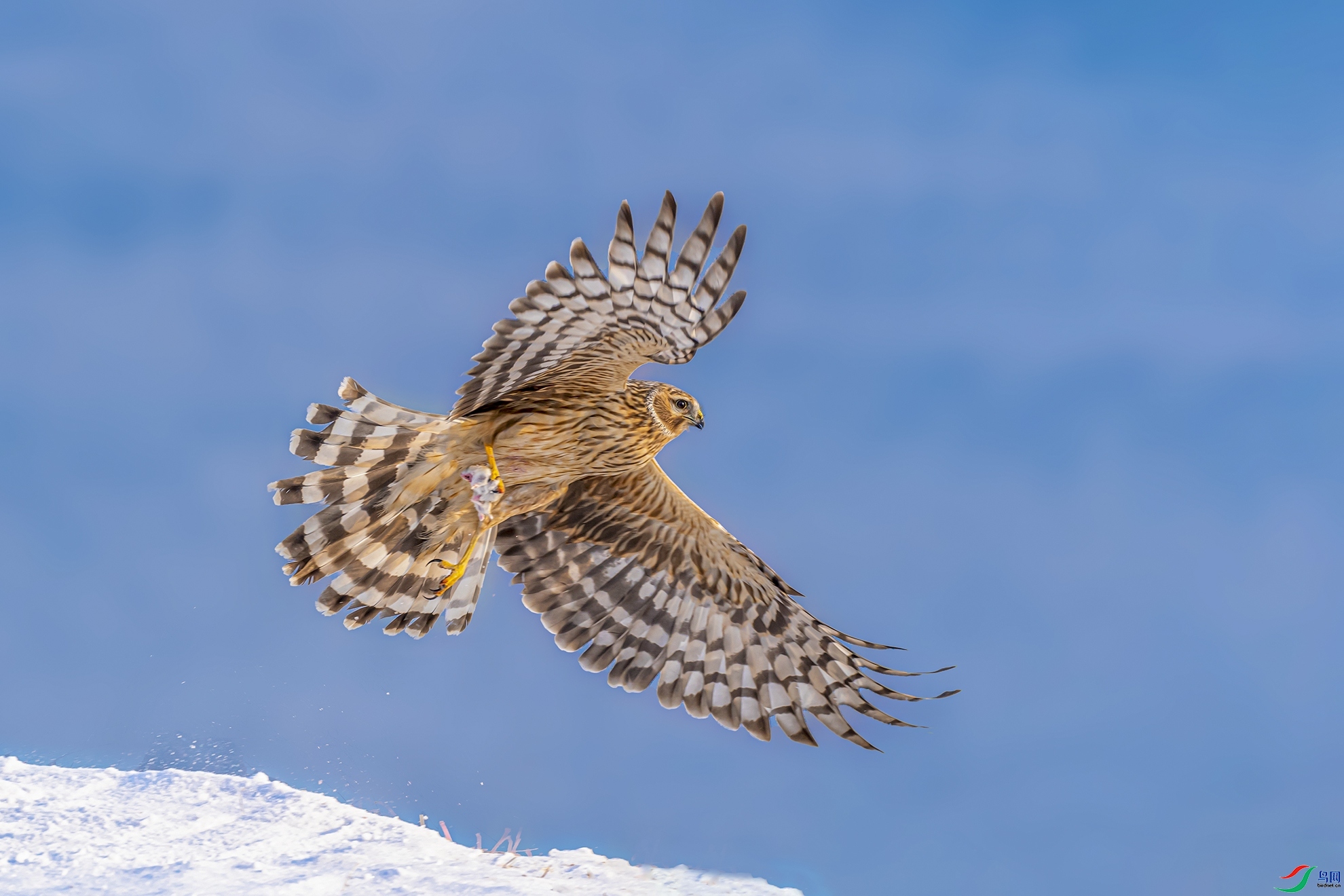 ������� ��ʦ�����ڼ���ʡ�������Ϲ���.jpg