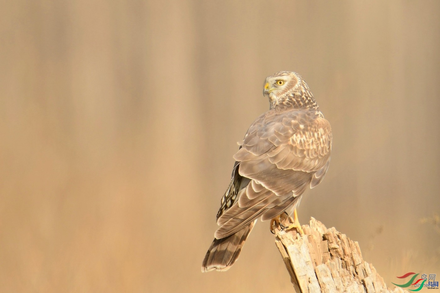 С�� ��ʦ����������ʡ�������躣��.jpg