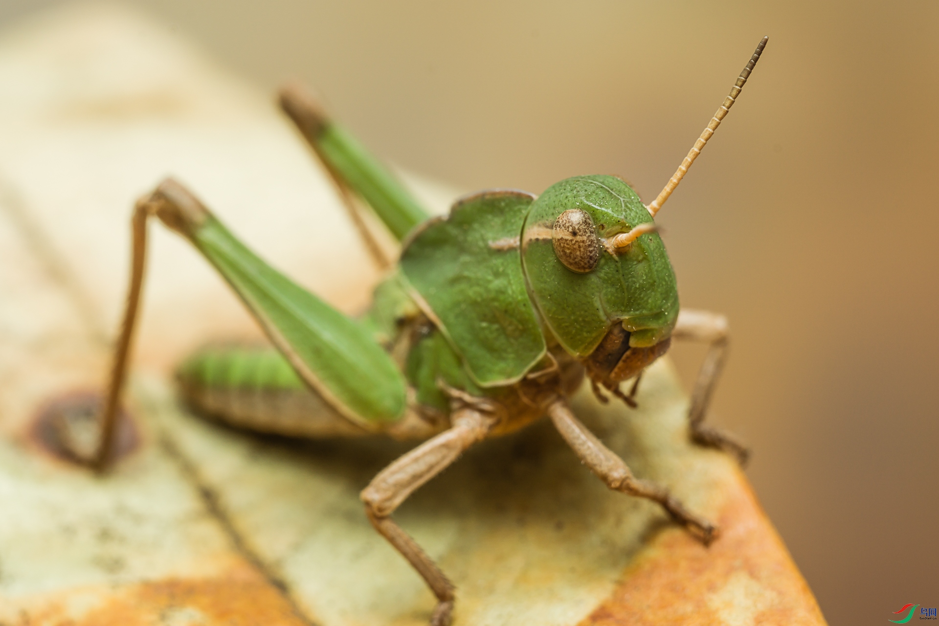 δ����-04256.jpg