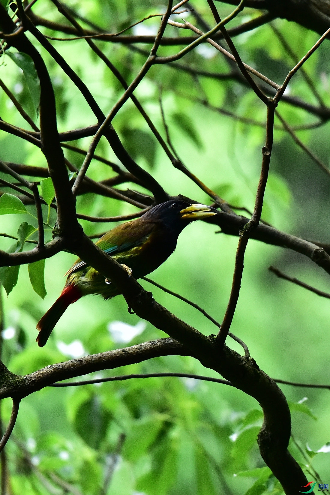 DSC_0632.JPG