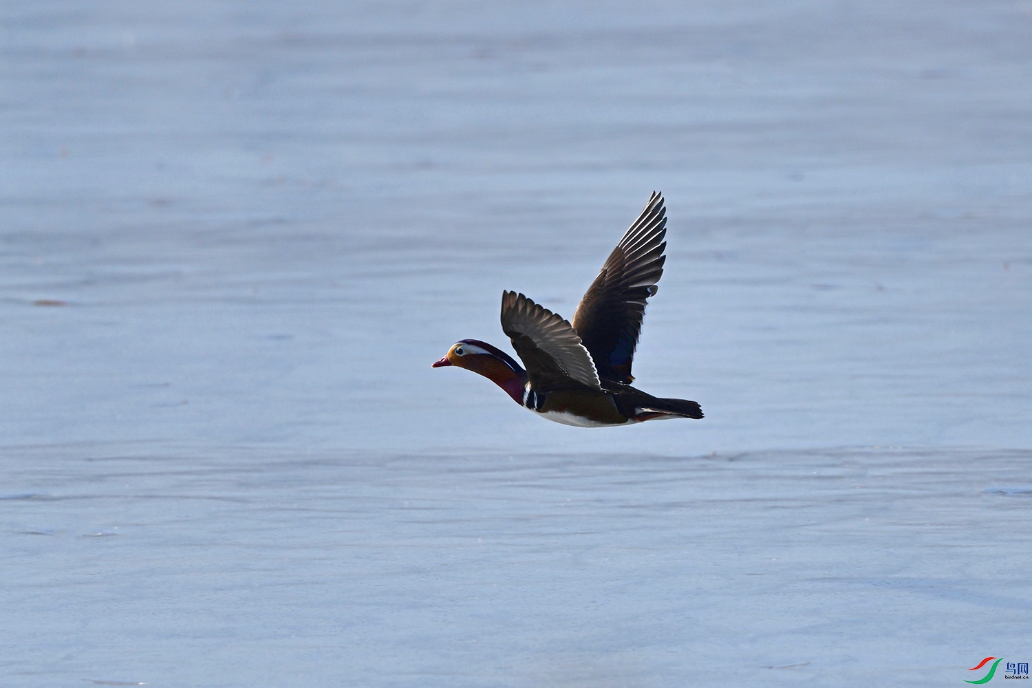 DSC_2496.jpg