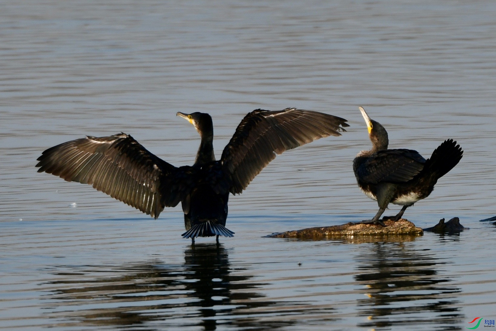 DSC_8497.jpg