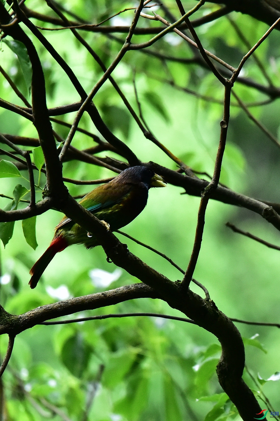 DSC_0633.JPG