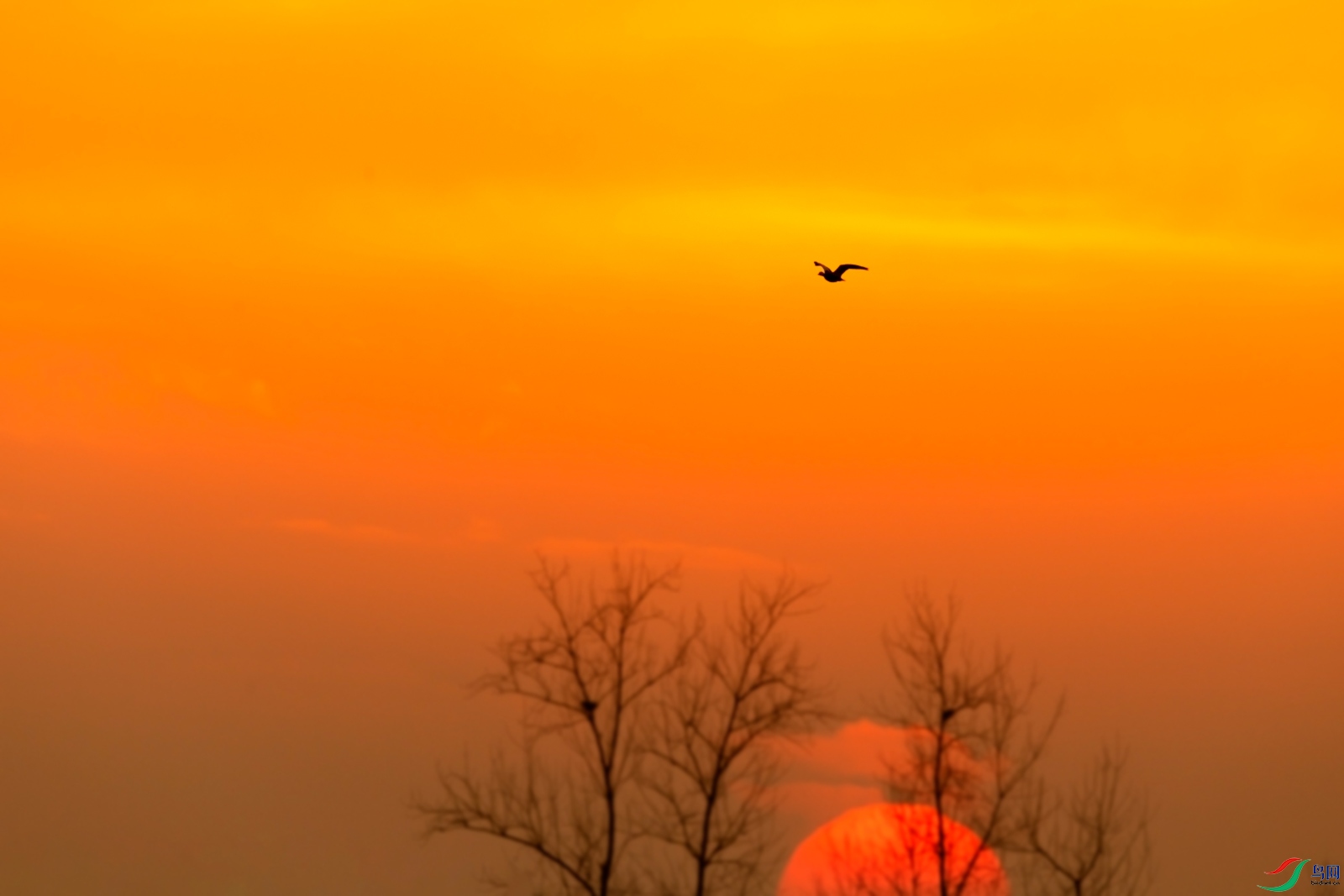 DSC_1729.jpg