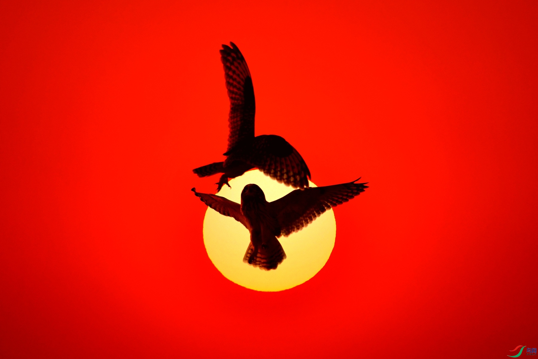 IYK_4286 ����_����.jpg