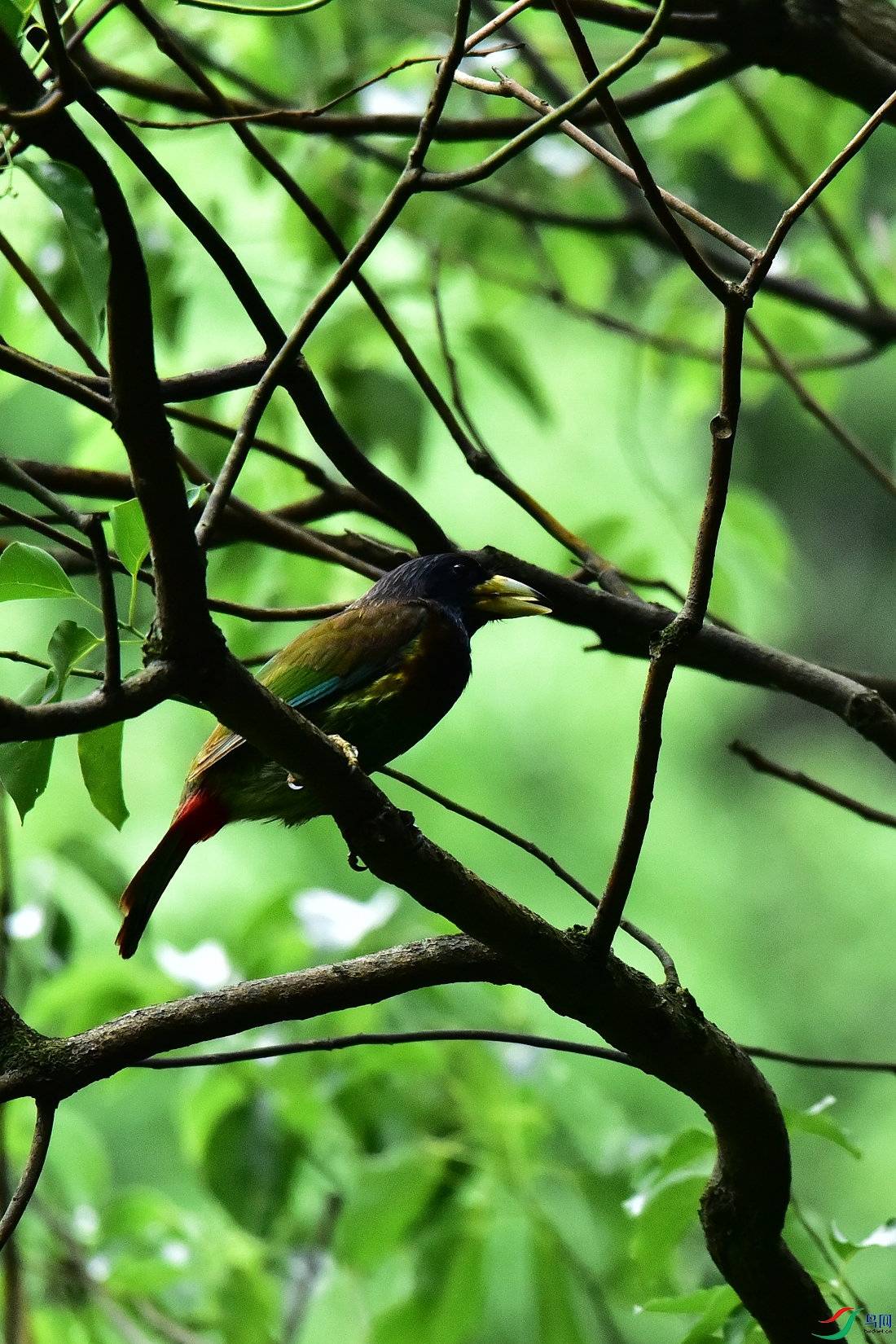DSC_0634.JPG