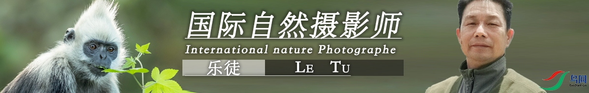 ΢��ͼƬ_20210116214144.jpg