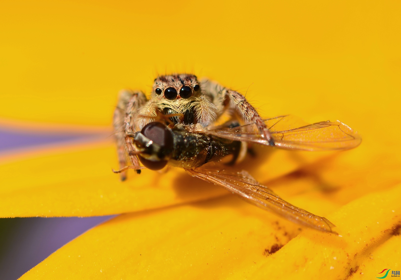 DSC_7607.JPG