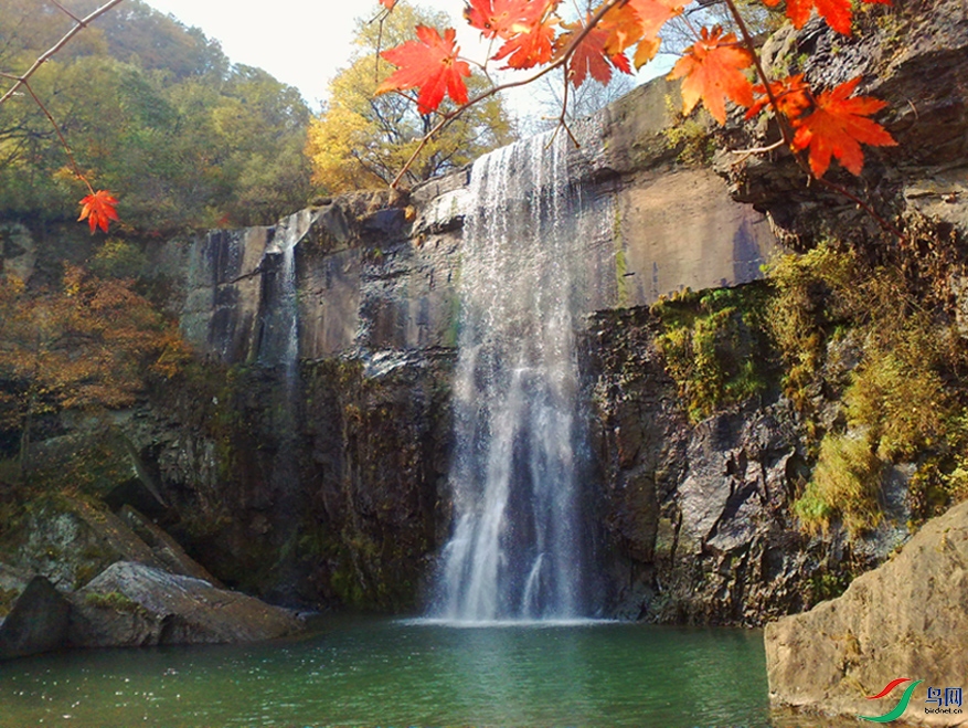 QQphoto (8)-01-P-2.jpg