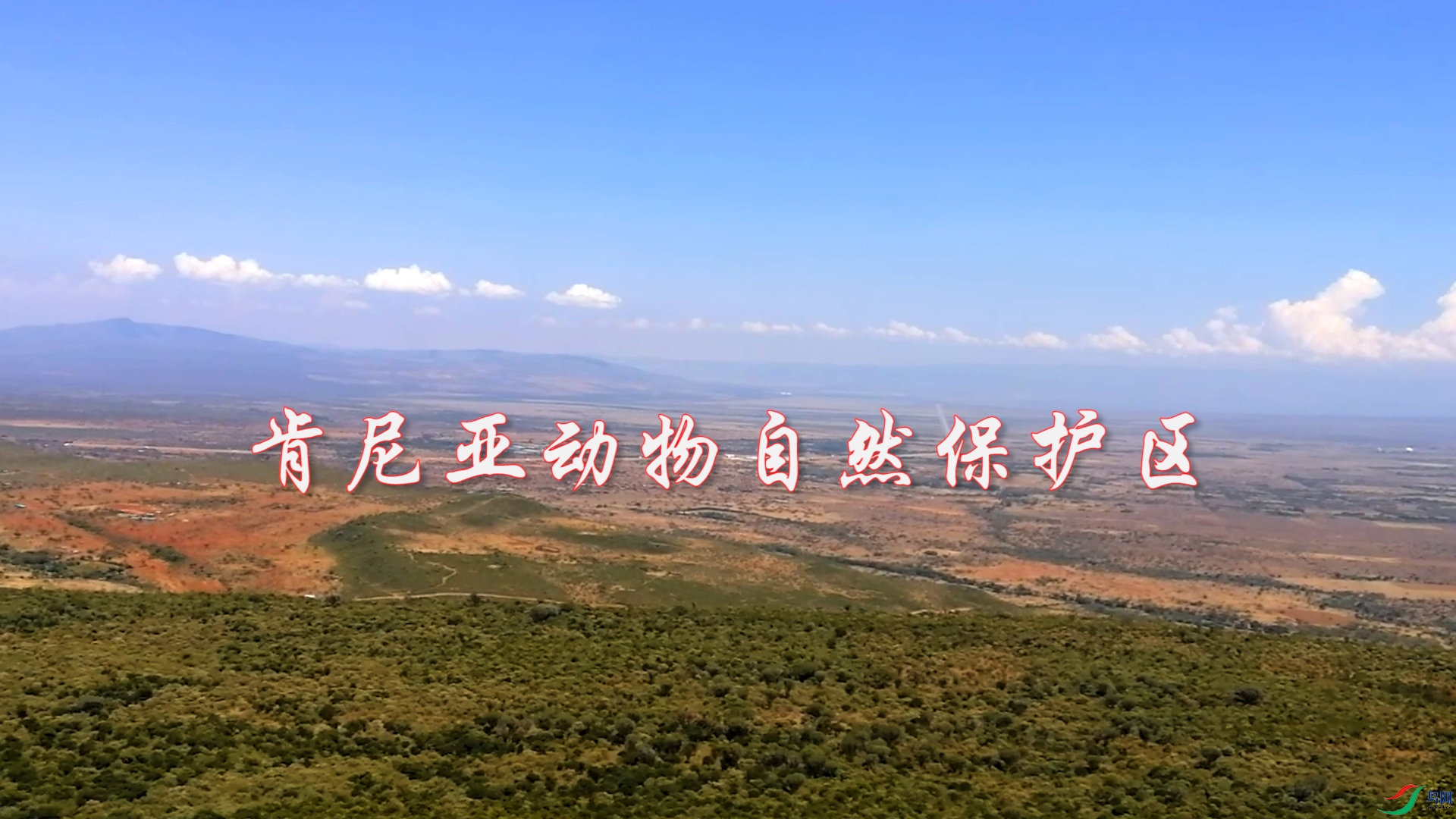 ����.00_00_04_21.Still001.jpg