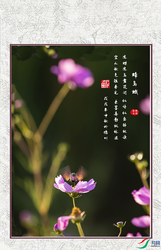 ����� ��ɣ���� Ͷ��Ƭ.jpg