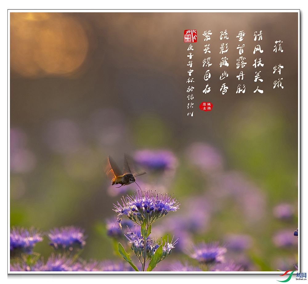 ��ݵ . ��꡷.jpg