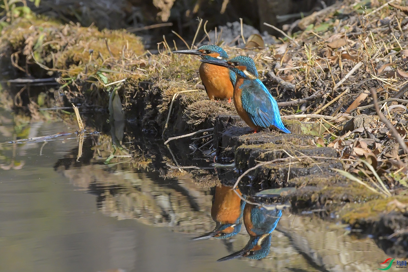 DSC_5503-2.jpg