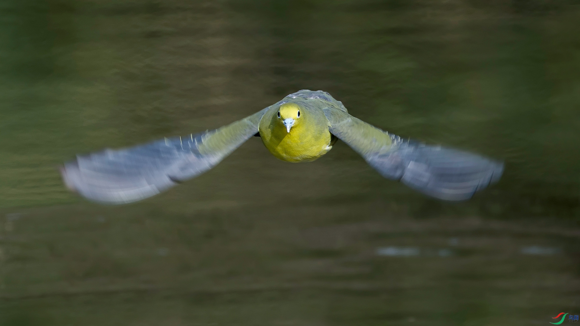 DSC_140684.jpg