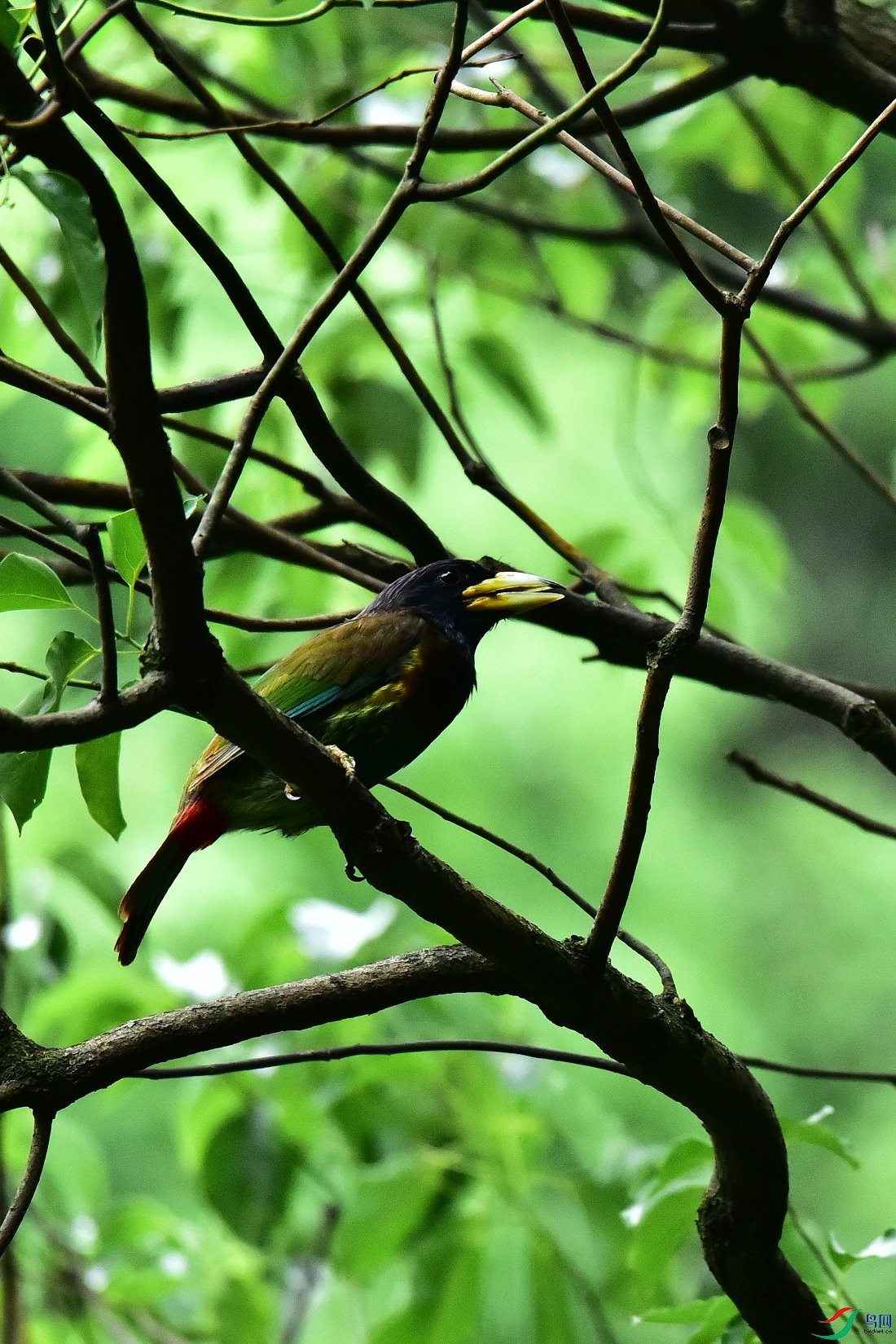 DSC_0635.JPG