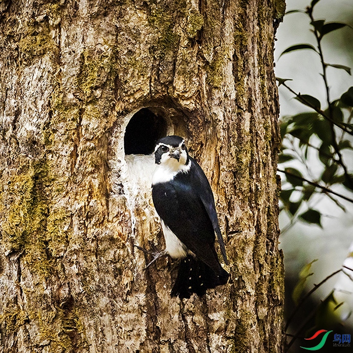 _L4I5950����С��-���� - ����.jpg