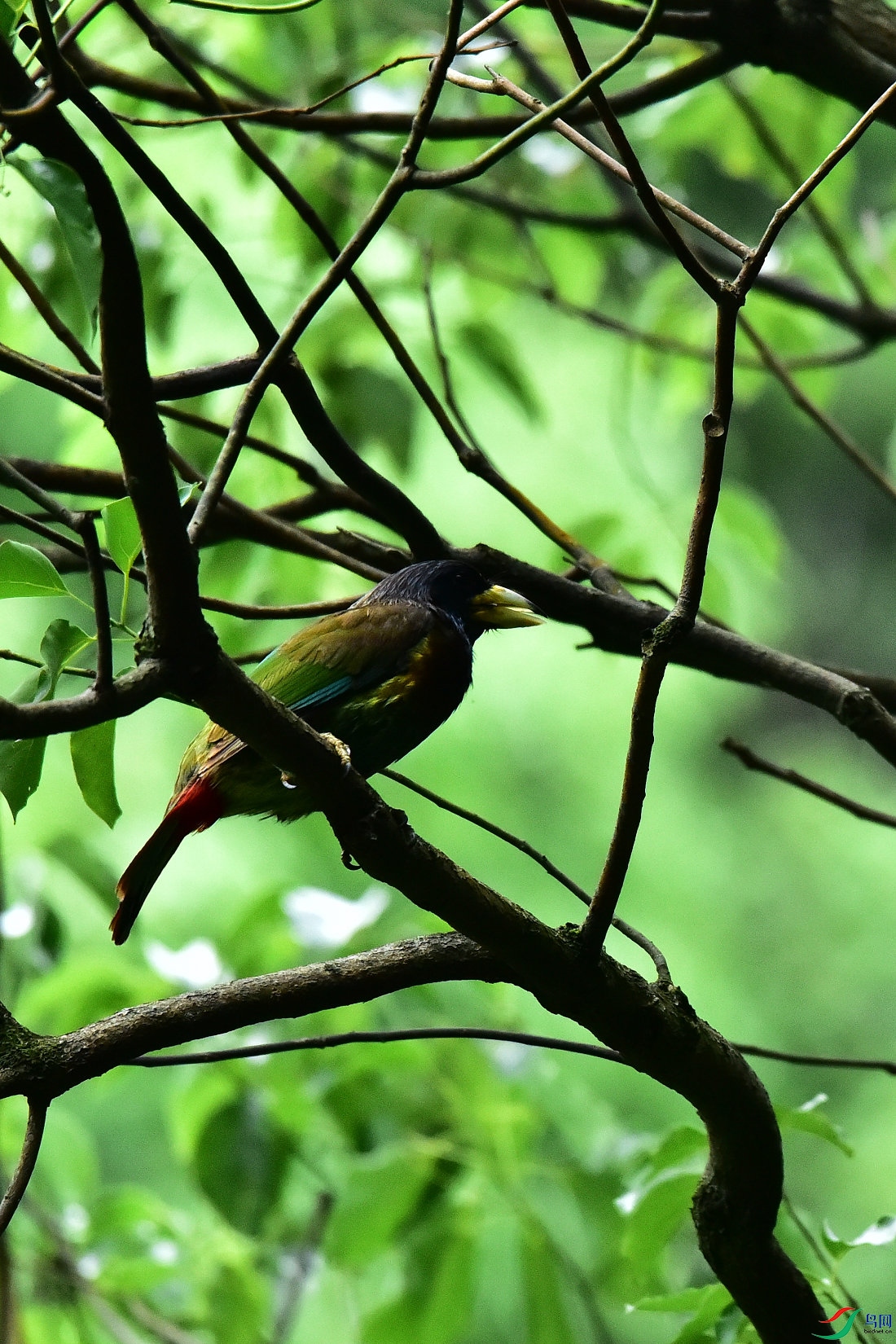 DSC_0636.JPG