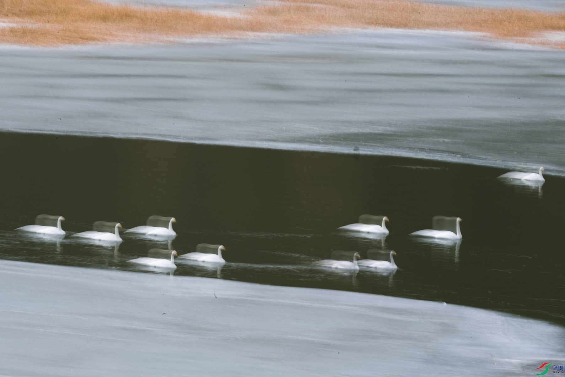 DSC_2707-Exposure_����.jpg