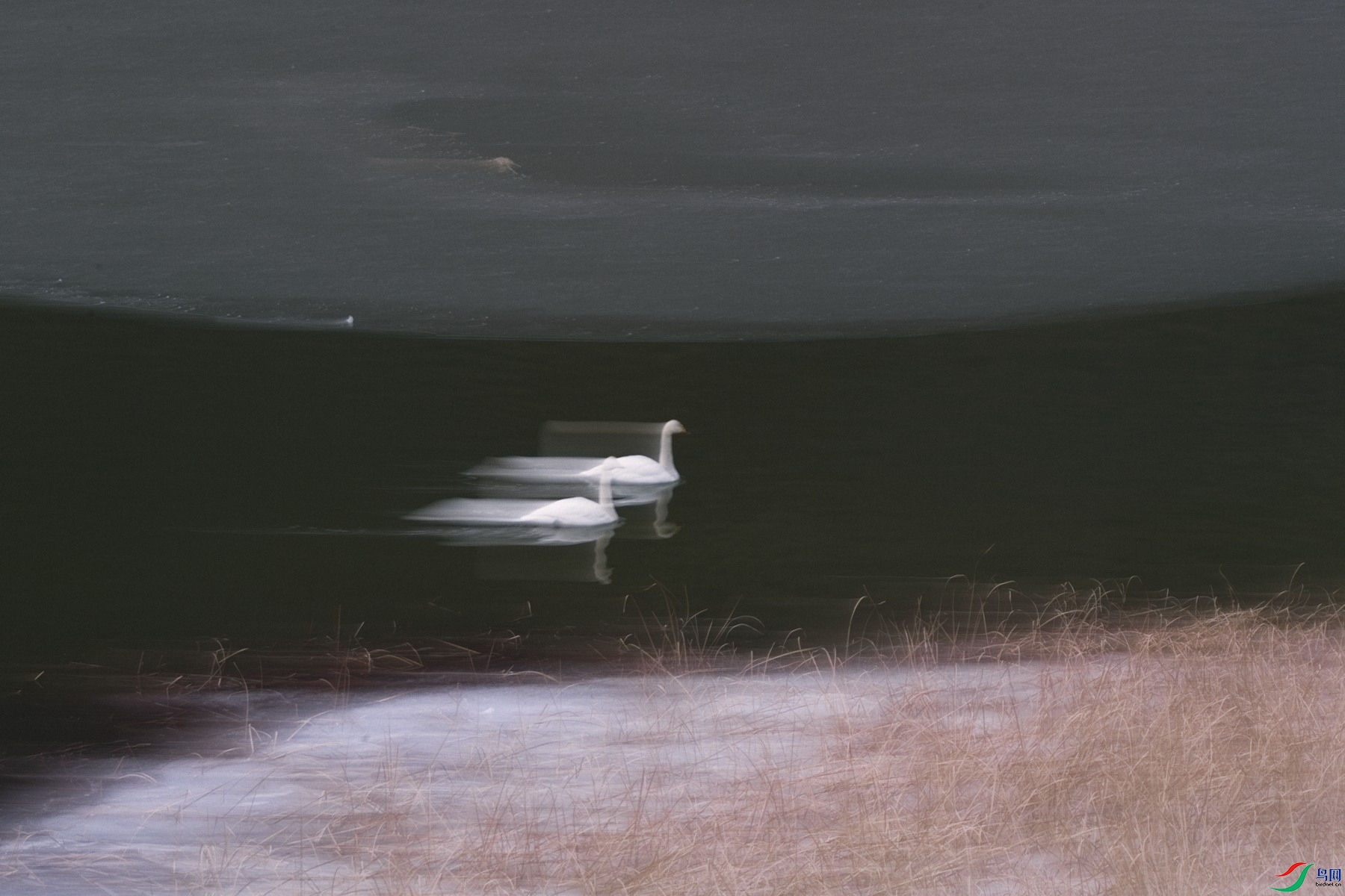 DSC_5214-Exposure_����.jpg