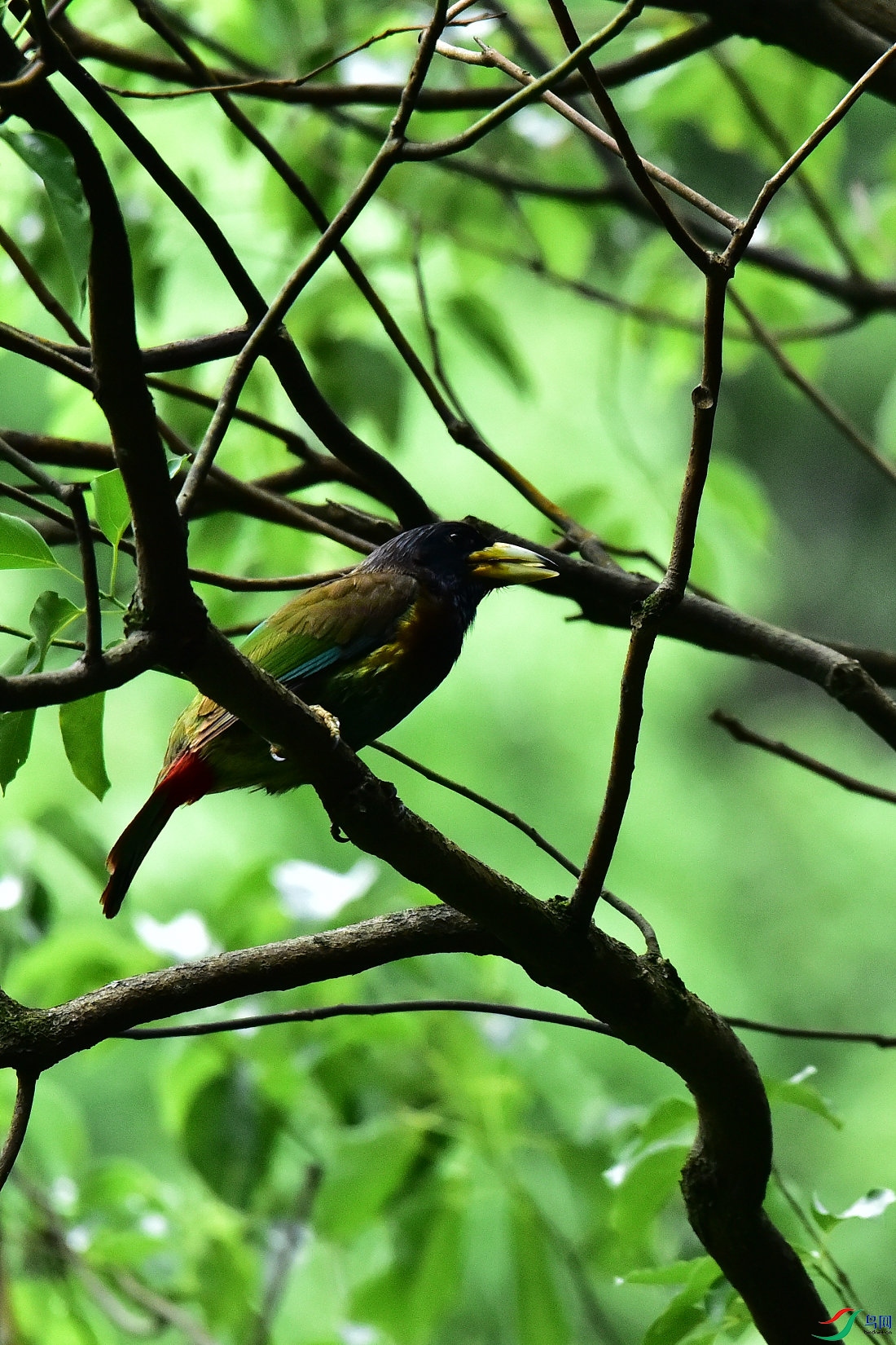 DSC_0637.JPG