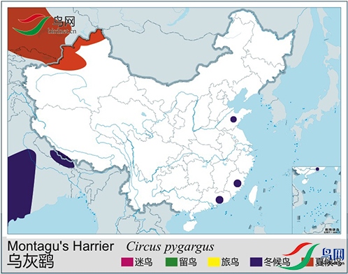 �ֲ�.jpg