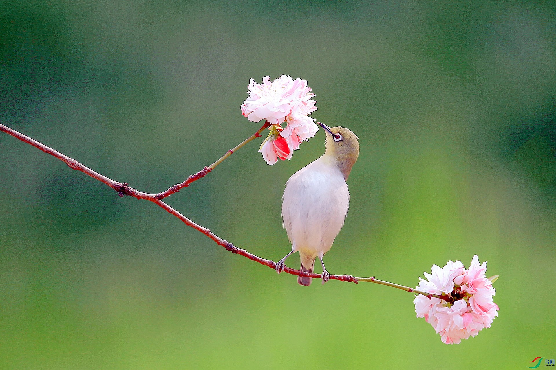 DB4W5240_����.jpg