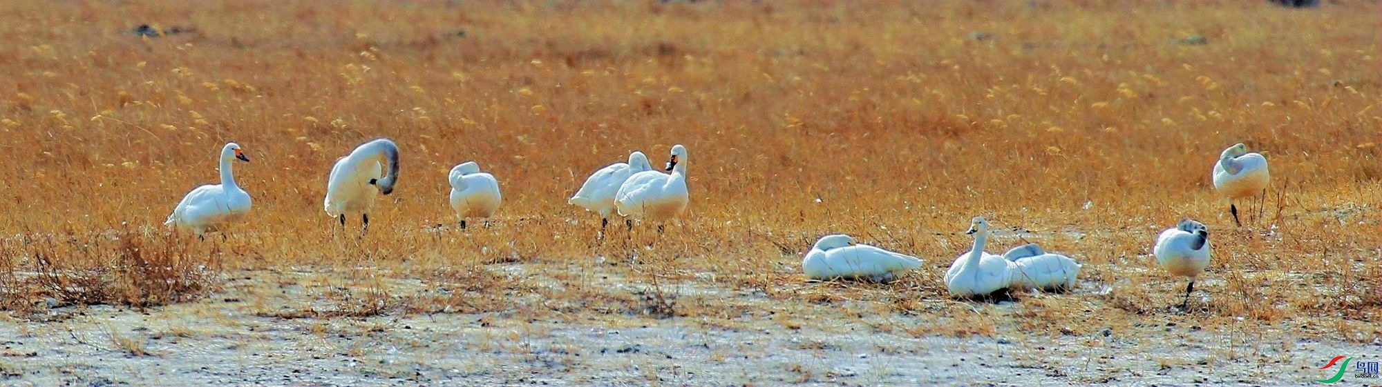 AK2Y9830_2000.jpg