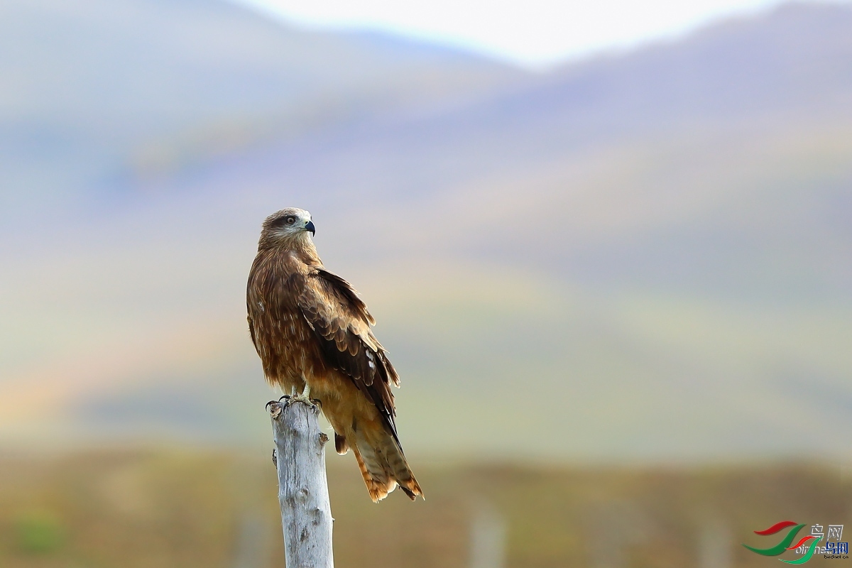 ���ã�һ��������  ��ʦ���������ɹ������������.jpg