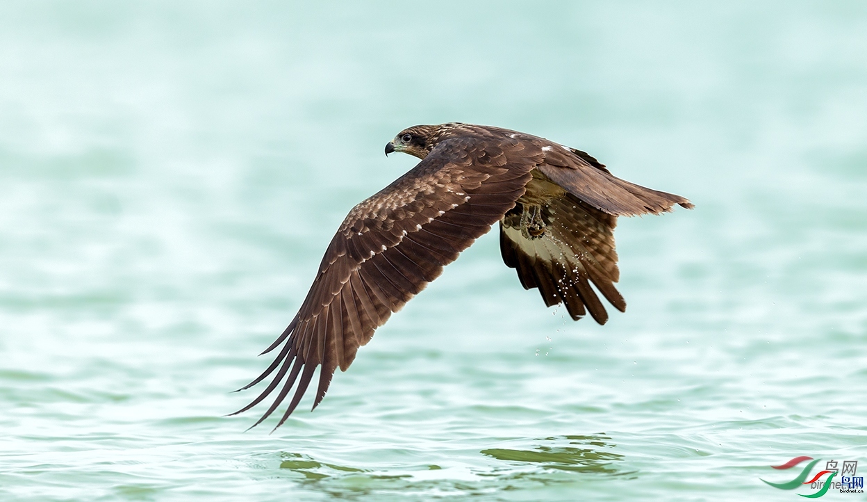 �˳�����  ��ʦ�����ڹ㶫ʡ�����ж�����.jpg