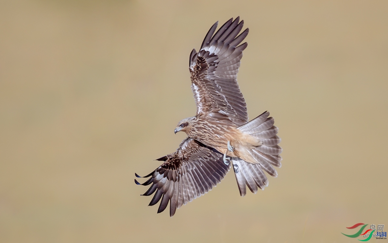 ���  ��ʦ���������ɹ�����������п�ʲ������.jpg