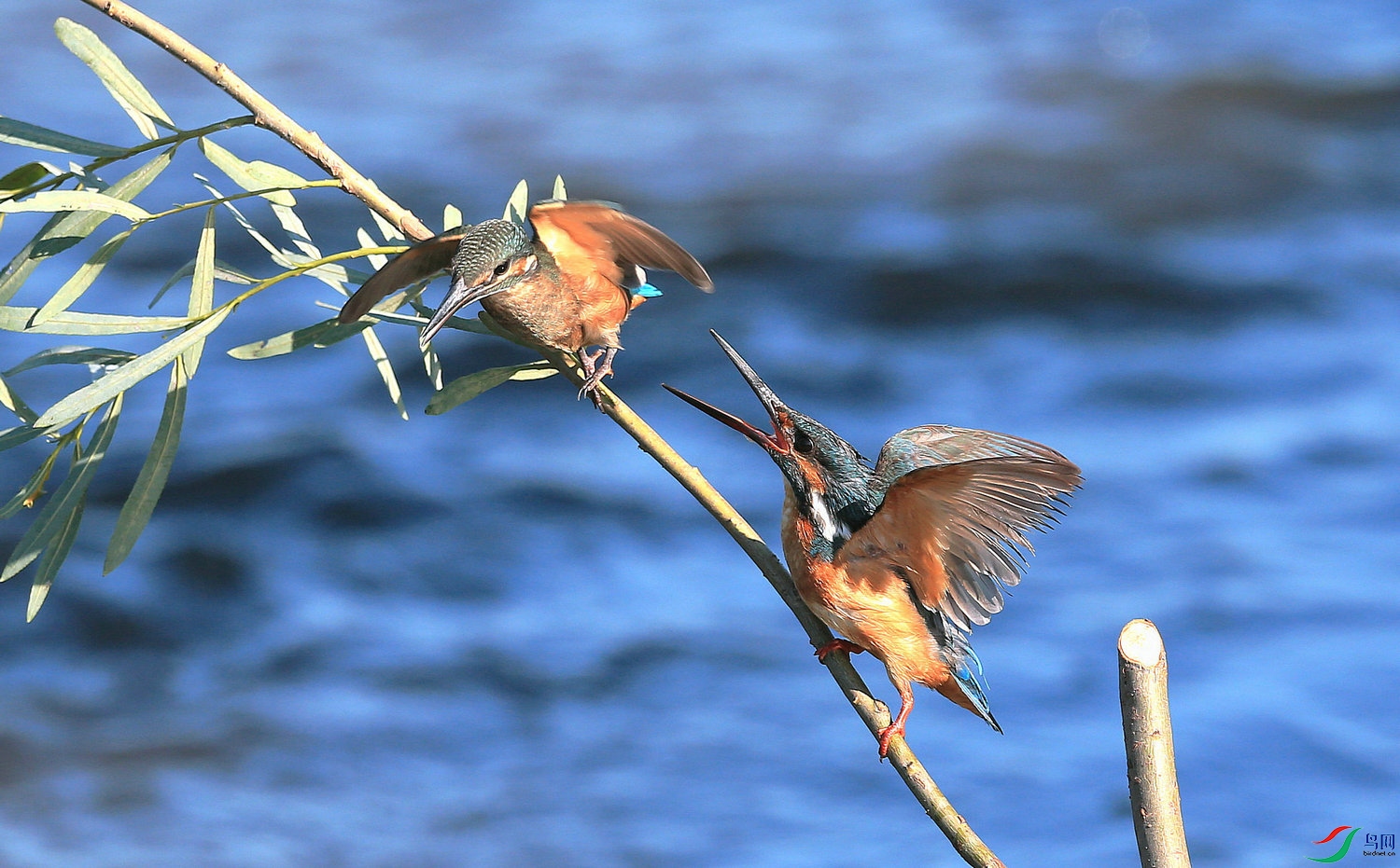 G - 108 = ̨��.jpg